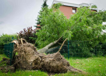 Comment Renforcer une Clôture contre le Vent ?